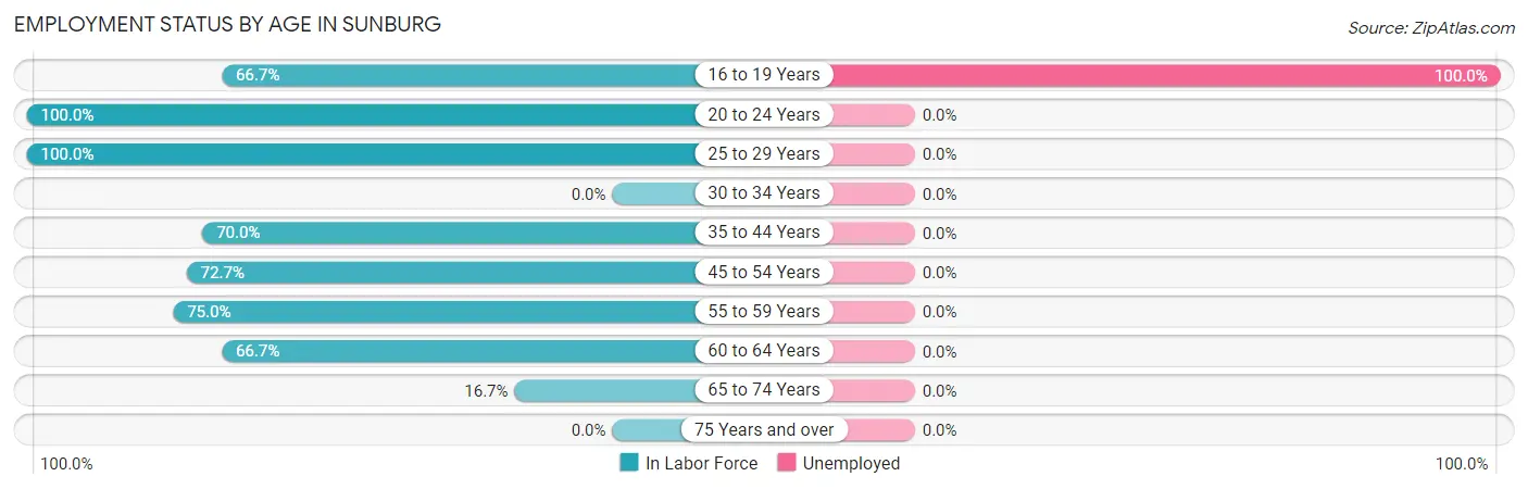 Employment Status by Age in Sunburg