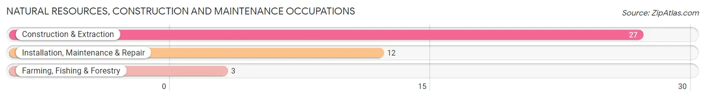 Natural Resources, Construction and Maintenance Occupations in Taconite