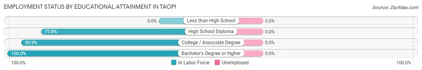 Employment Status by Educational Attainment in Taopi