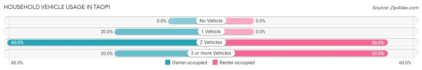 Household Vehicle Usage in Taopi
