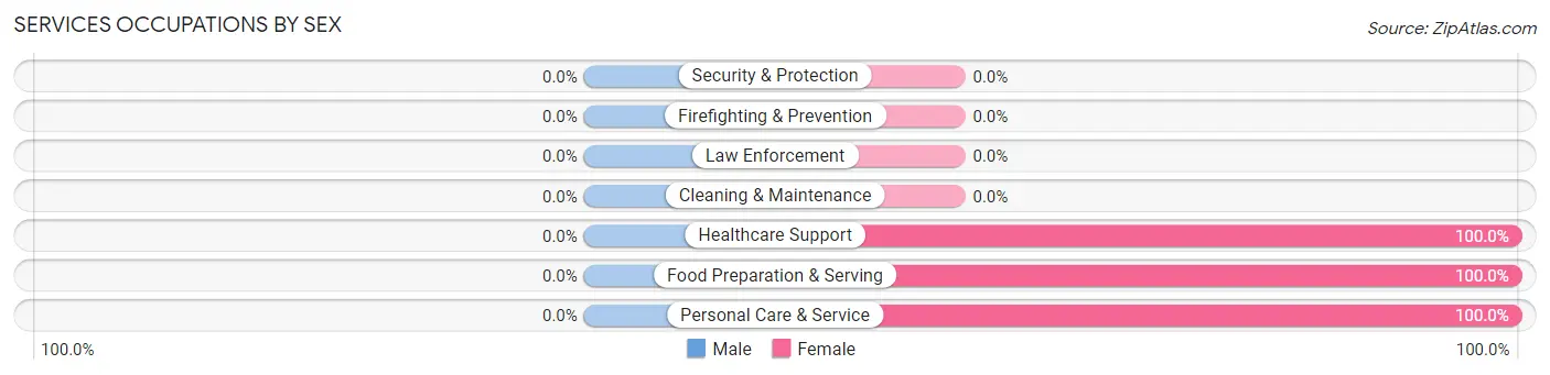 Services Occupations by Sex in Taopi