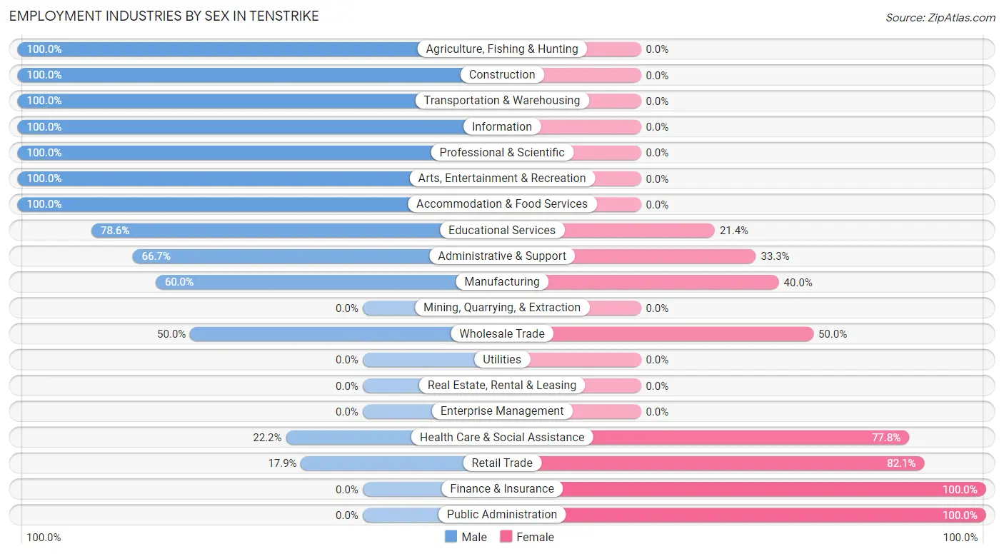 Employment Industries by Sex in Tenstrike