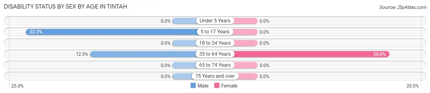 Disability Status by Sex by Age in Tintah
