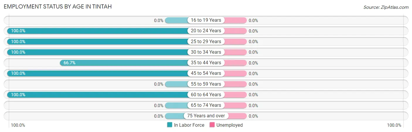Employment Status by Age in Tintah