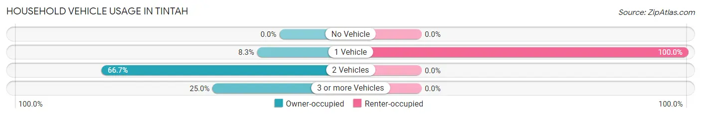 Household Vehicle Usage in Tintah