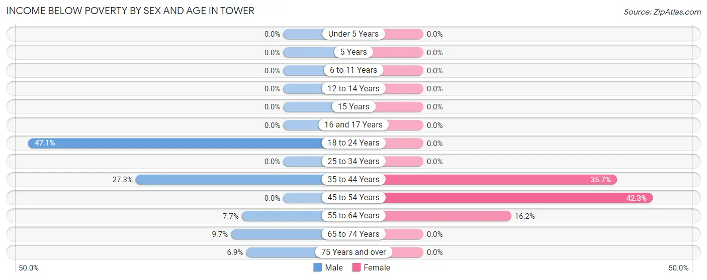 Income Below Poverty by Sex and Age in Tower