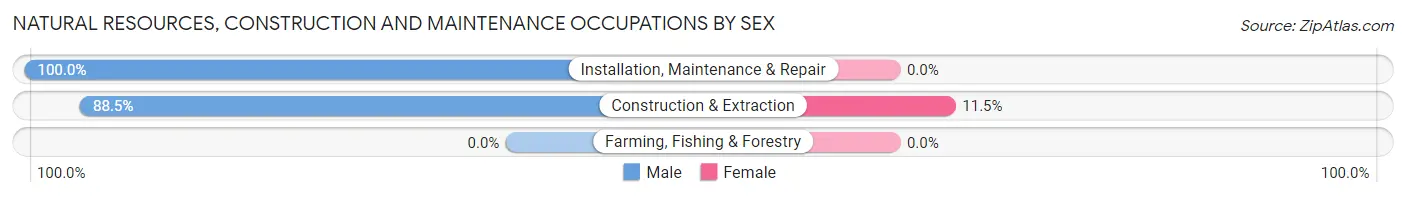 Natural Resources, Construction and Maintenance Occupations by Sex in Tracy