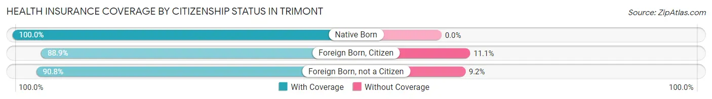 Health Insurance Coverage by Citizenship Status in Trimont