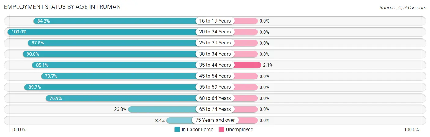 Employment Status by Age in Truman