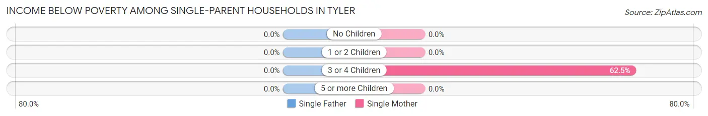 Income Below Poverty Among Single-Parent Households in Tyler