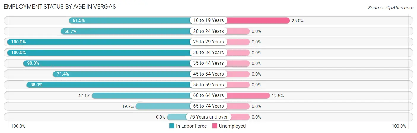 Employment Status by Age in Vergas