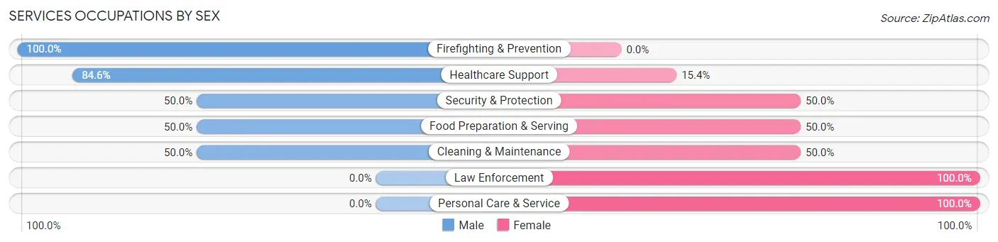 Services Occupations by Sex in Vernon Center