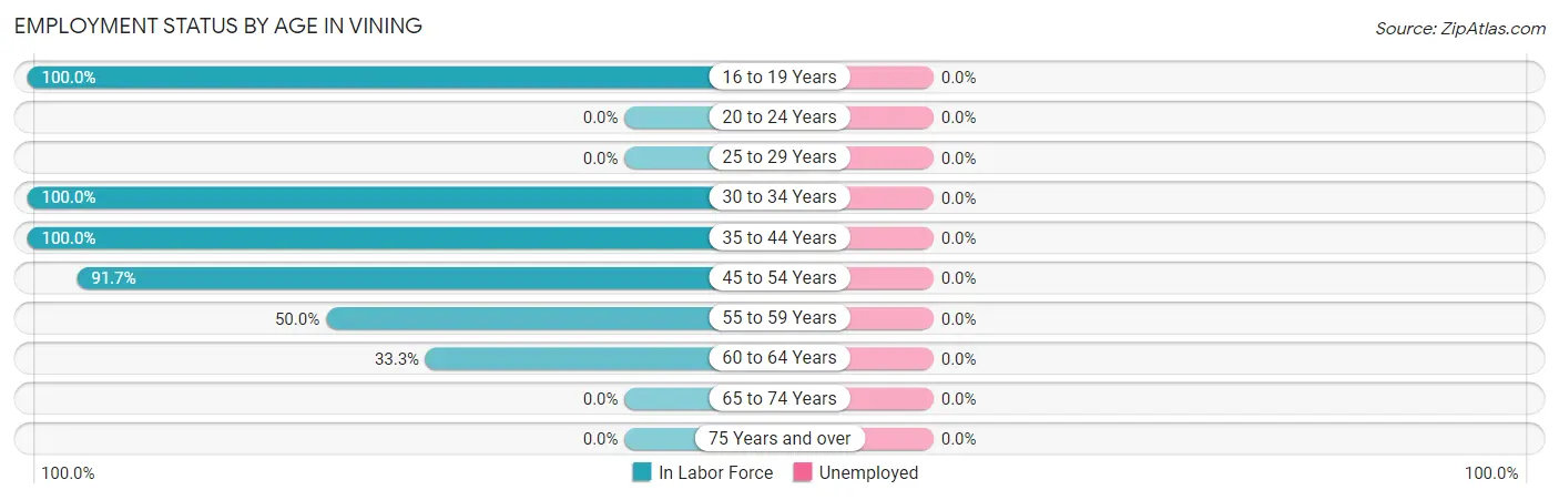 Employment Status by Age in Vining