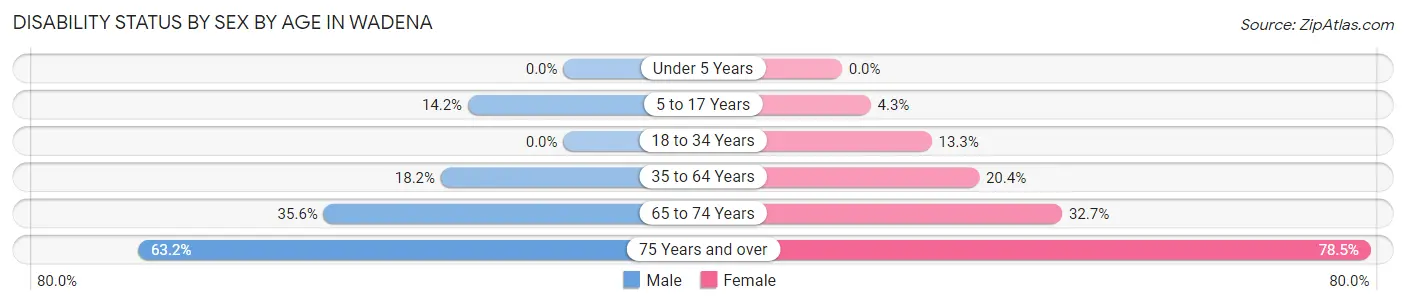 Disability Status by Sex by Age in Wadena