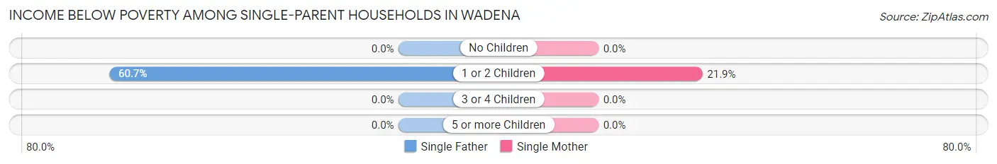Income Below Poverty Among Single-Parent Households in Wadena