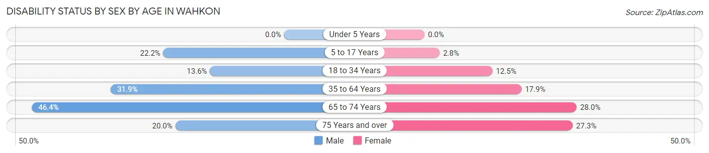 Disability Status by Sex by Age in Wahkon