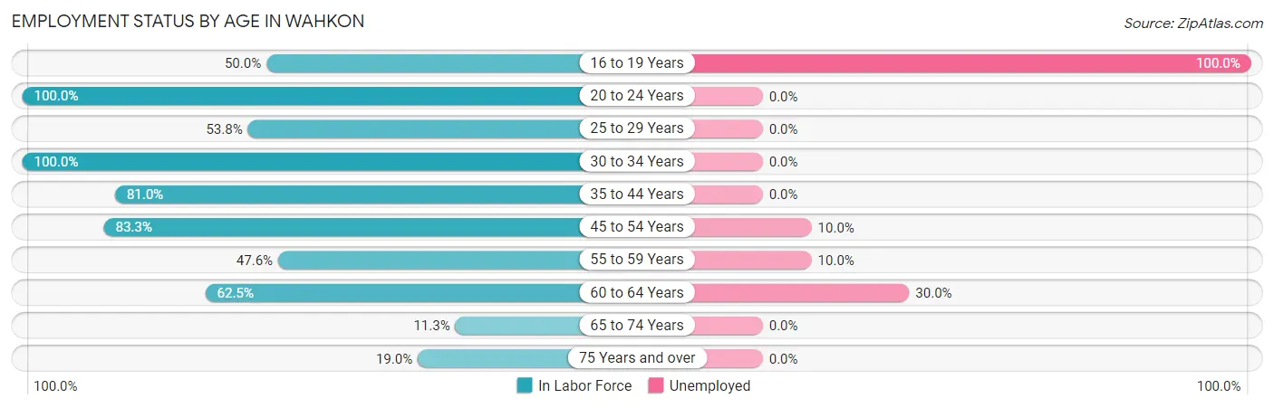 Employment Status by Age in Wahkon
