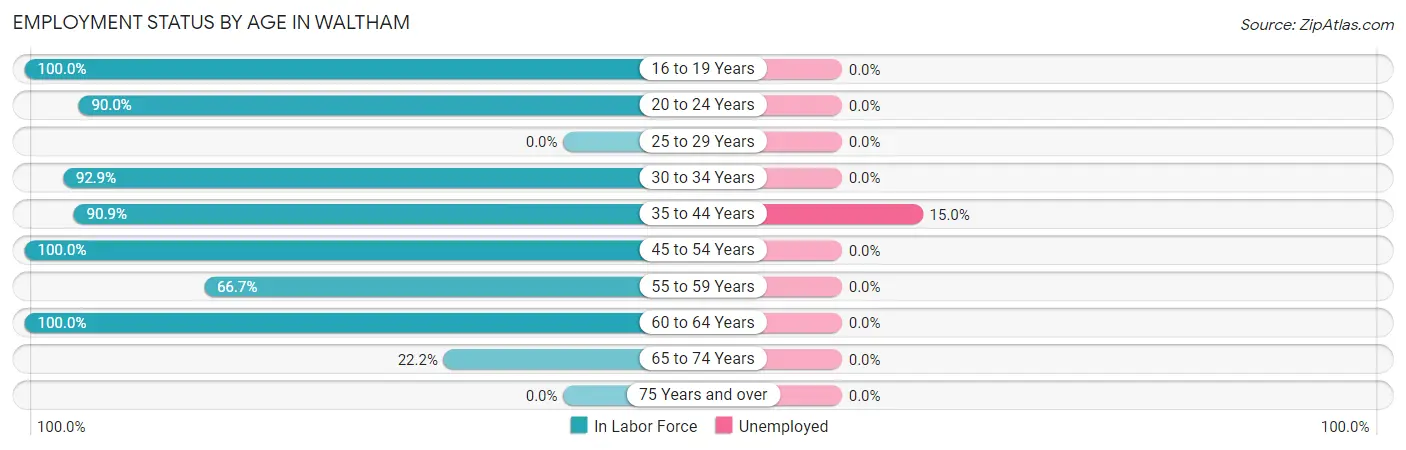Employment Status by Age in Waltham