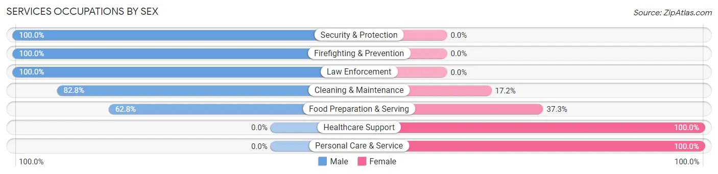 Services Occupations by Sex in Warren