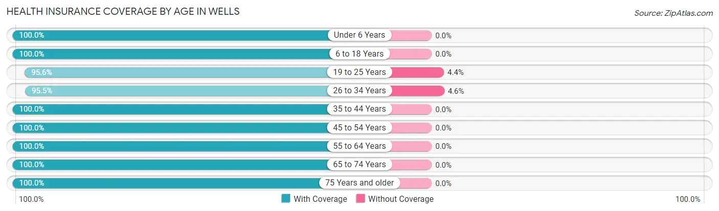 Health Insurance Coverage by Age in Wells