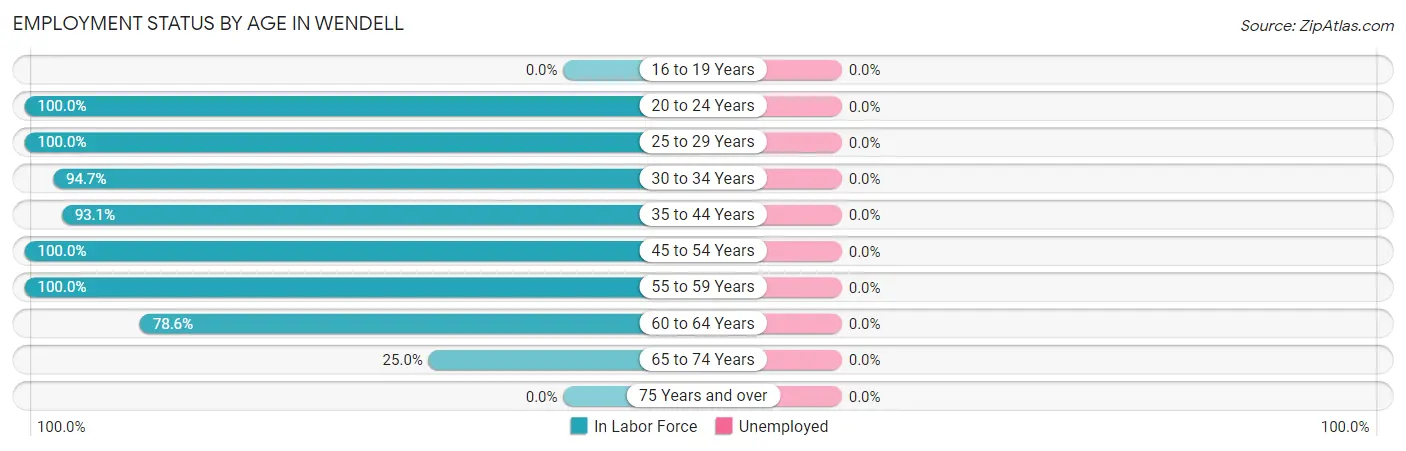 Employment Status by Age in Wendell