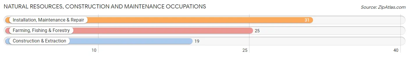 Natural Resources, Construction and Maintenance Occupations in Wheaton