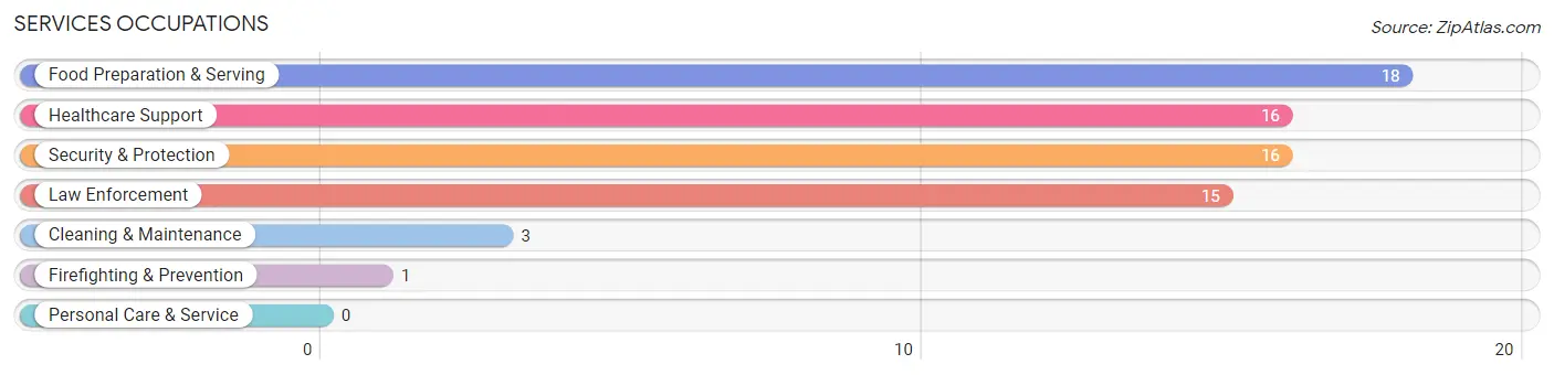 Services Occupations in Willow River