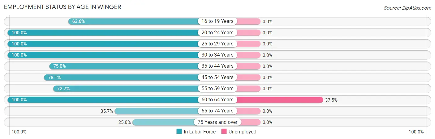 Employment Status by Age in Winger