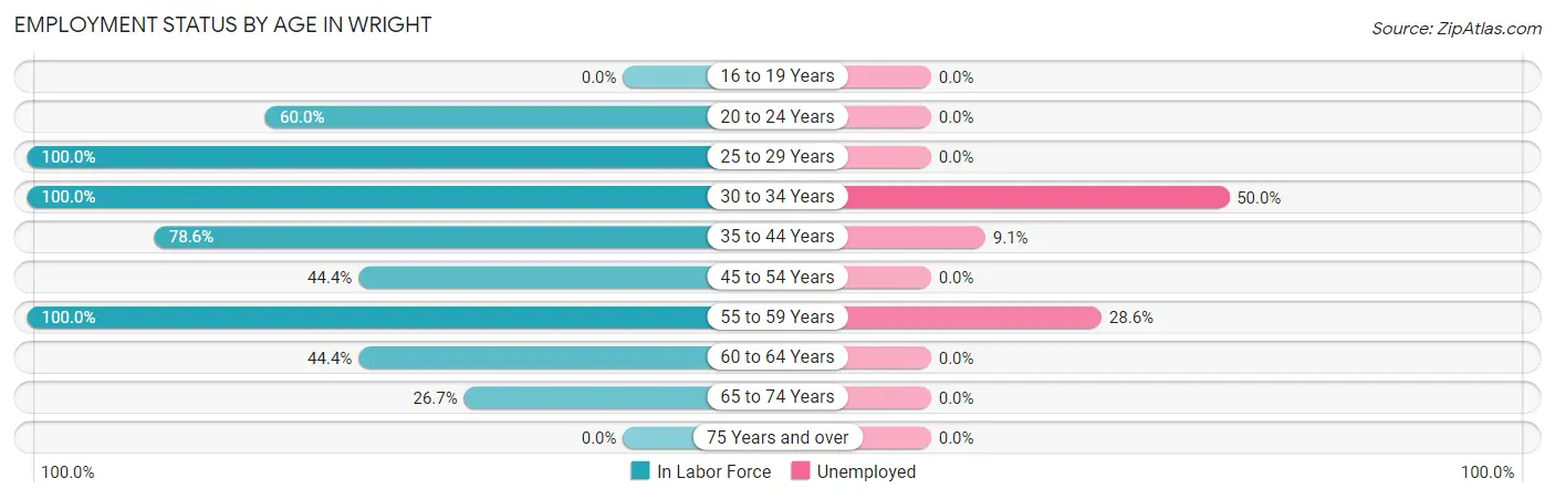 Employment Status by Age in Wright