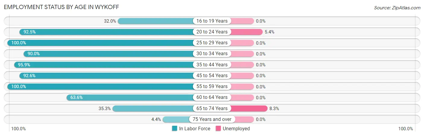 Employment Status by Age in Wykoff