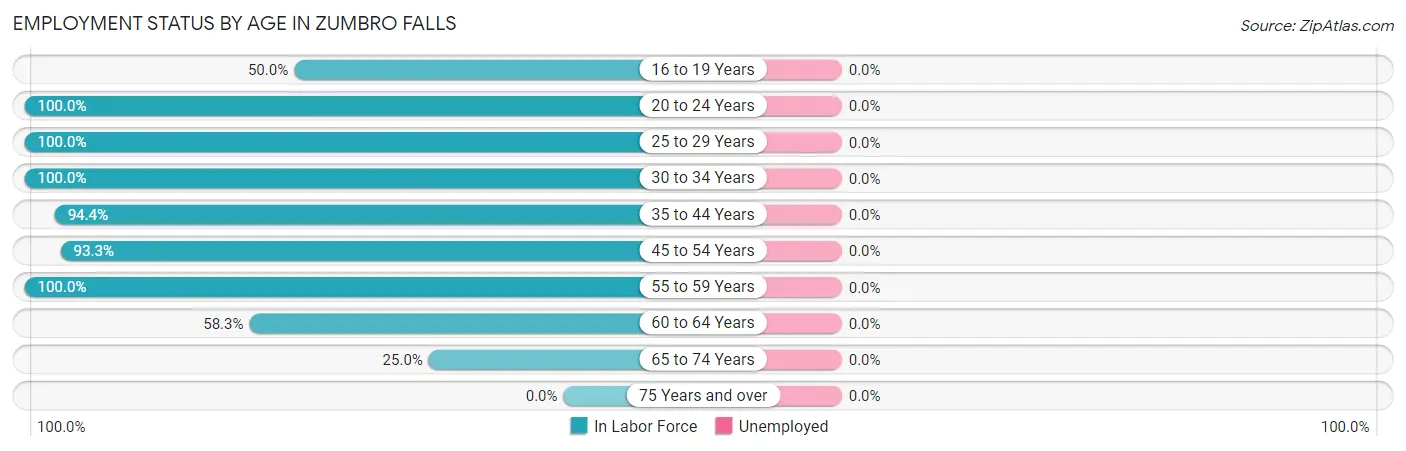 Employment Status by Age in Zumbro Falls