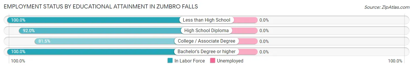 Employment Status by Educational Attainment in Zumbro Falls