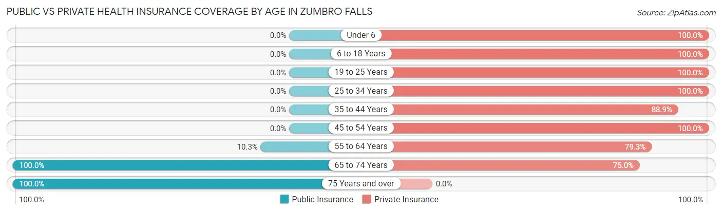 Public vs Private Health Insurance Coverage by Age in Zumbro Falls