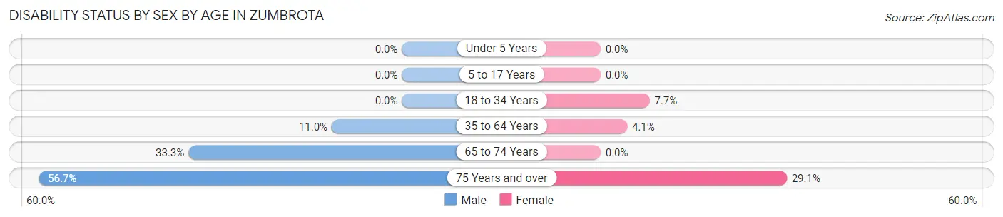 Disability Status by Sex by Age in Zumbrota