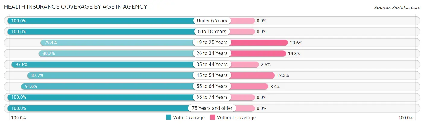 Health Insurance Coverage by Age in Agency