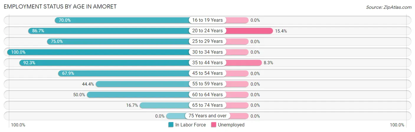 Employment Status by Age in Amoret
