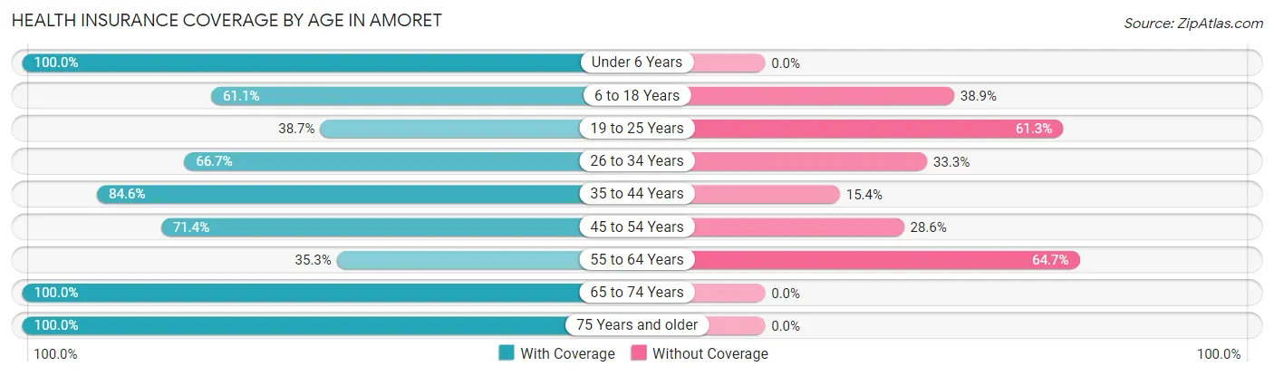 Health Insurance Coverage by Age in Amoret