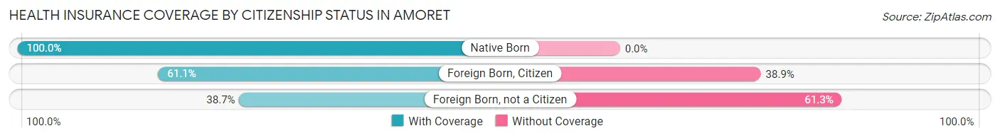 Health Insurance Coverage by Citizenship Status in Amoret