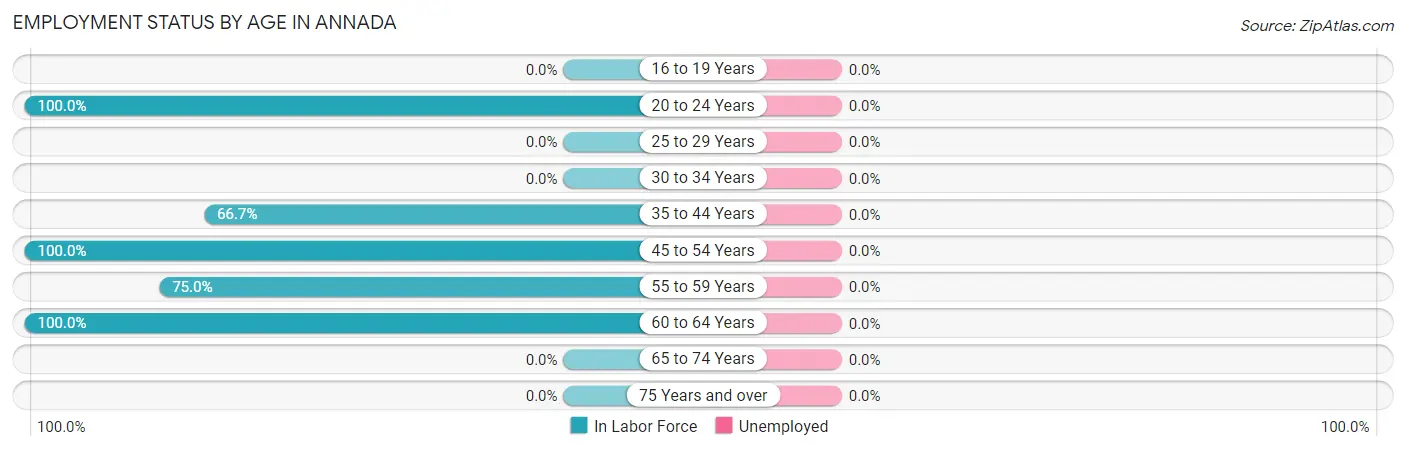 Employment Status by Age in Annada