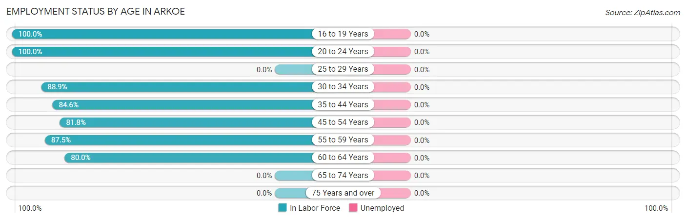 Employment Status by Age in Arkoe