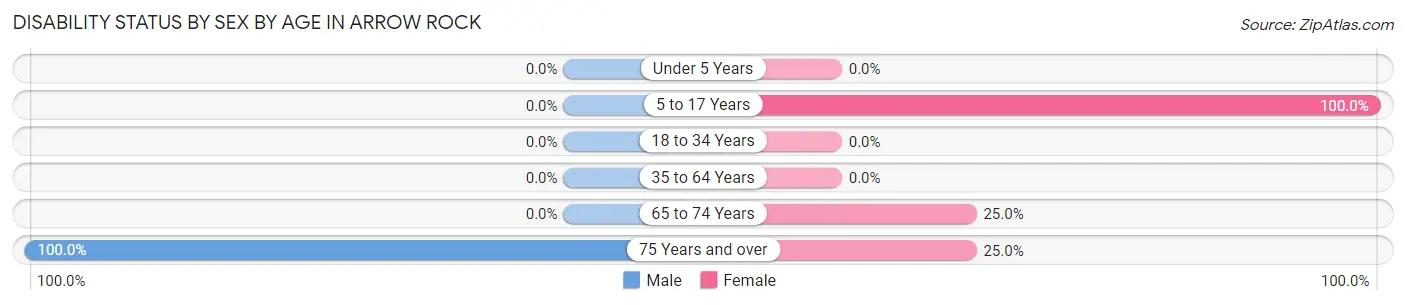 Disability Status by Sex by Age in Arrow Rock