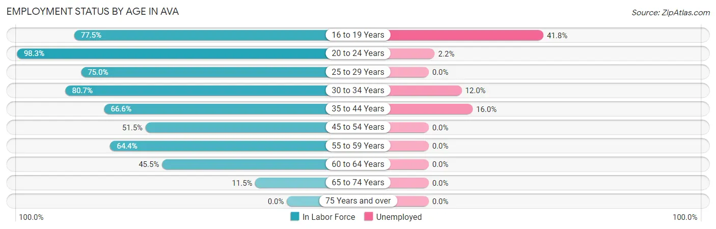 Employment Status by Age in Ava