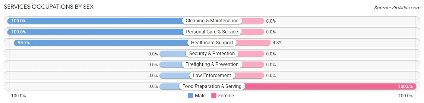 Services Occupations by Sex in Ava