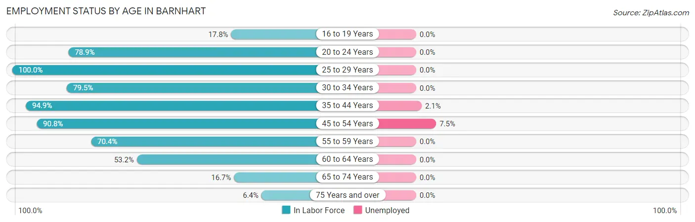 Employment Status by Age in Barnhart