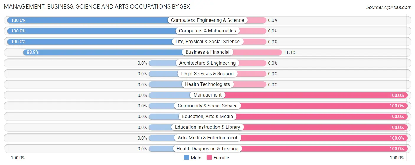 Management, Business, Science and Arts Occupations by Sex in Bell City