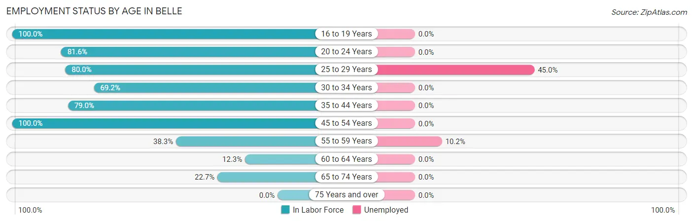 Employment Status by Age in Belle