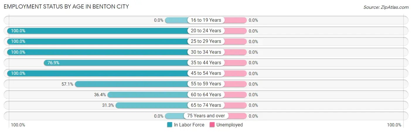 Employment Status by Age in Benton City