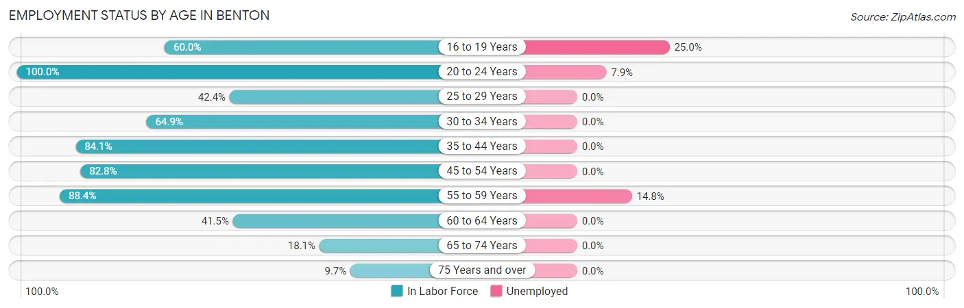 Employment Status by Age in Benton