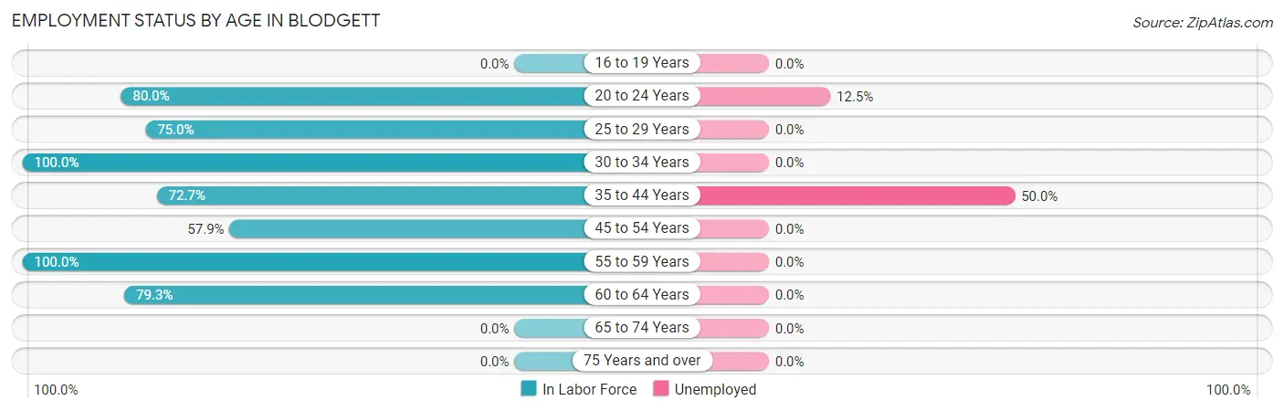 Employment Status by Age in Blodgett