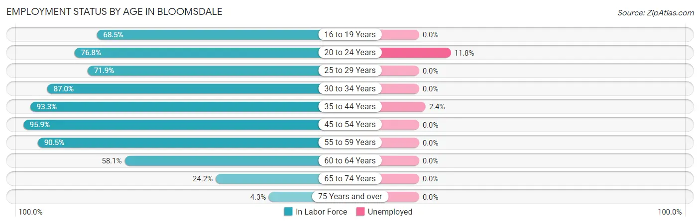 Employment Status by Age in Bloomsdale